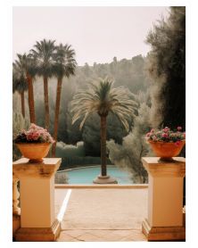 Affiche - Palm Trees 02 (30x40 cm) - Hartman AI