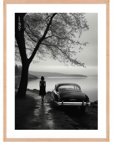 Affiche - Wheels of Elegance 08 (50x70 cm) - Hartman AI