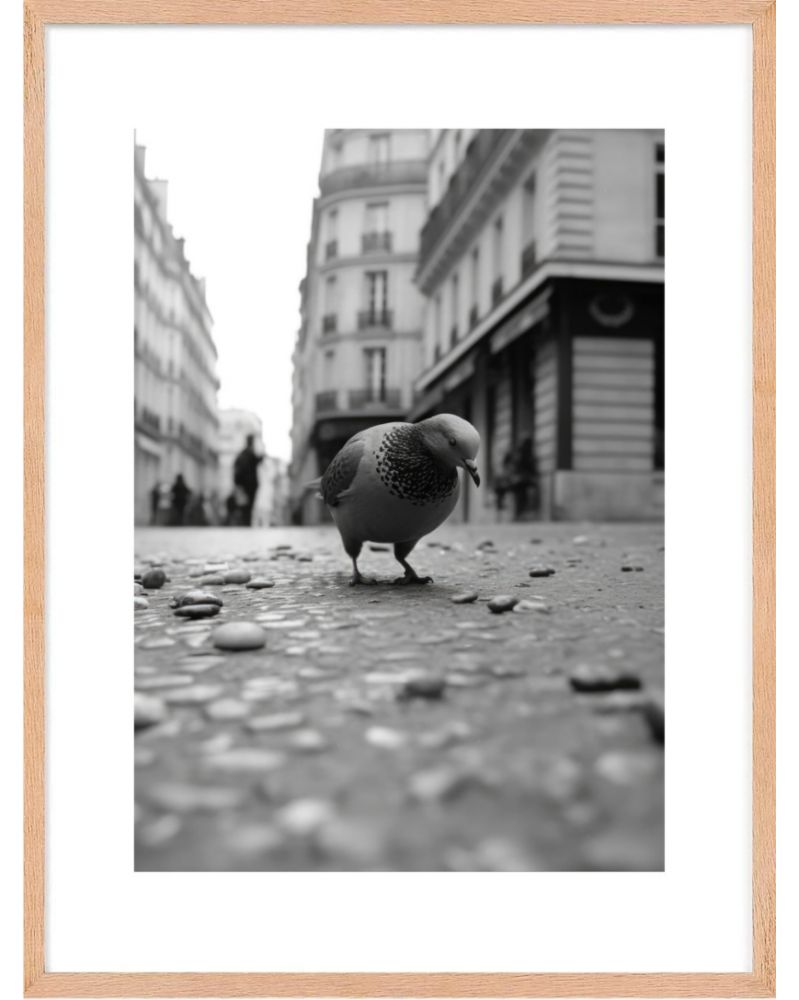 Affiche - Old Paris 06 (30x40 cm) - Hartman AI